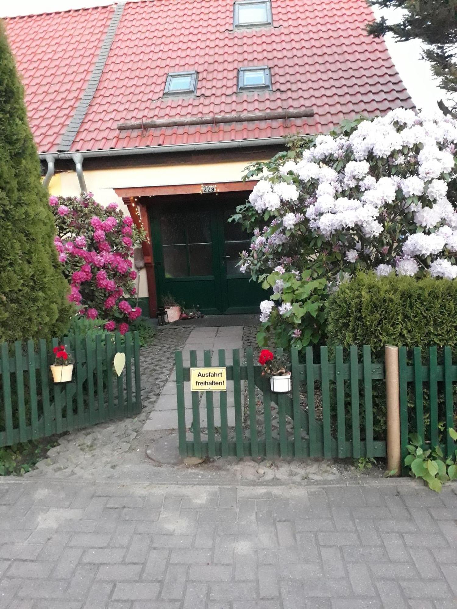 Villa Harzglück Thale Exterior foto
